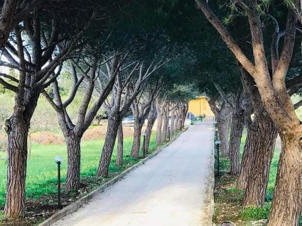 Turtle Island Apartments 산타크로체카메리나 외부 사진